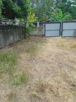 Valuable Land for Sale
