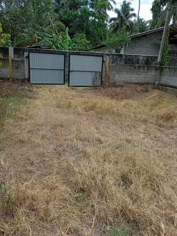 Valuable Land for Sale
