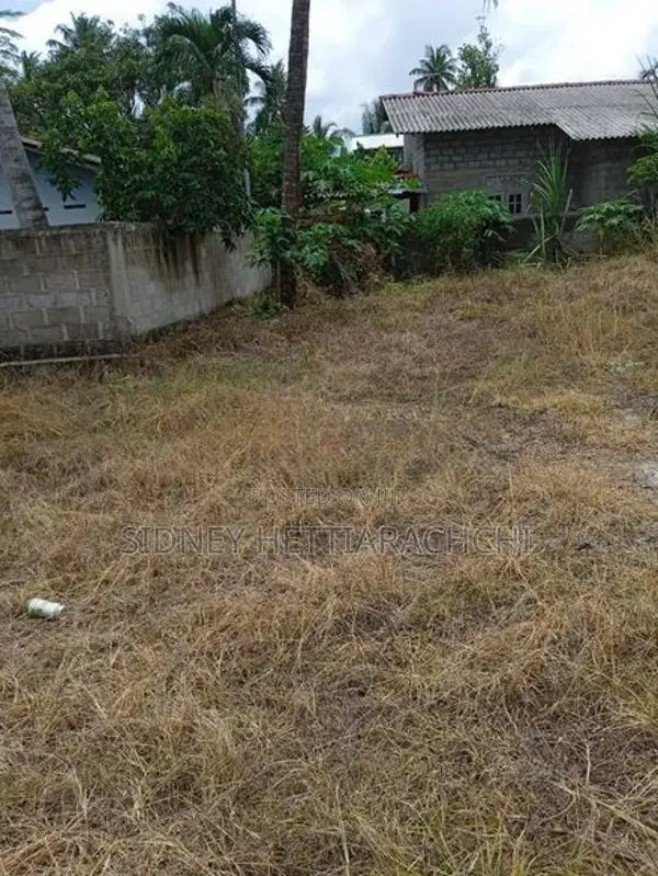 Valuable Land for Sale