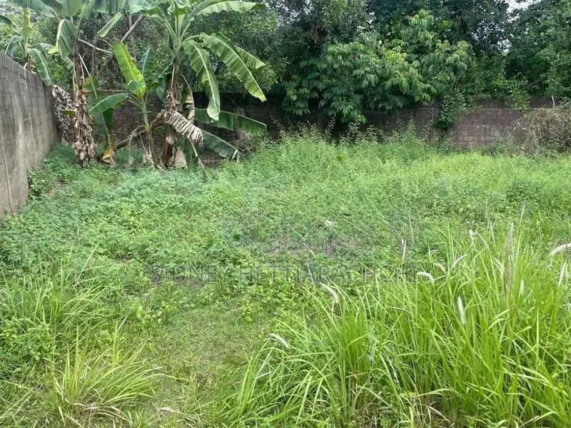 Land for Residential or Agricultural purpose