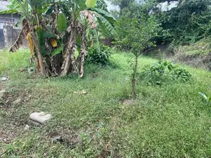 Land for Residential or Agricultural purpose