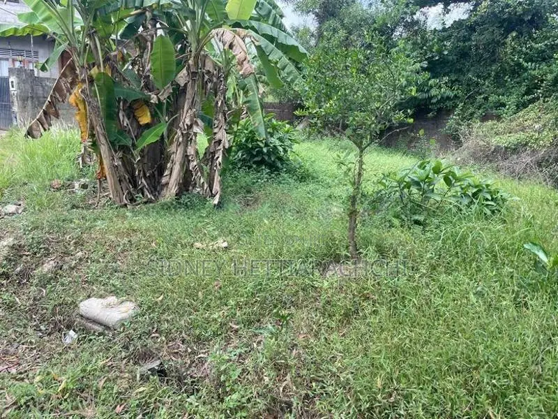 Land for Residential or Agricultural purpose