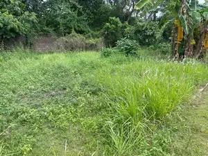 Land for Residential or Agricultural purpose