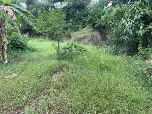 Land for Residential or Agricultural purpose