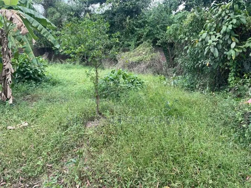 Land for Residential or Agricultural purpose