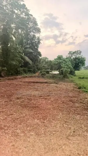 Valuable land for sale