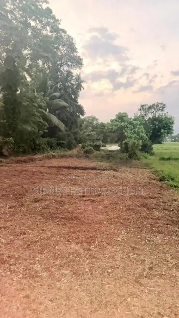 Valuable land for sale