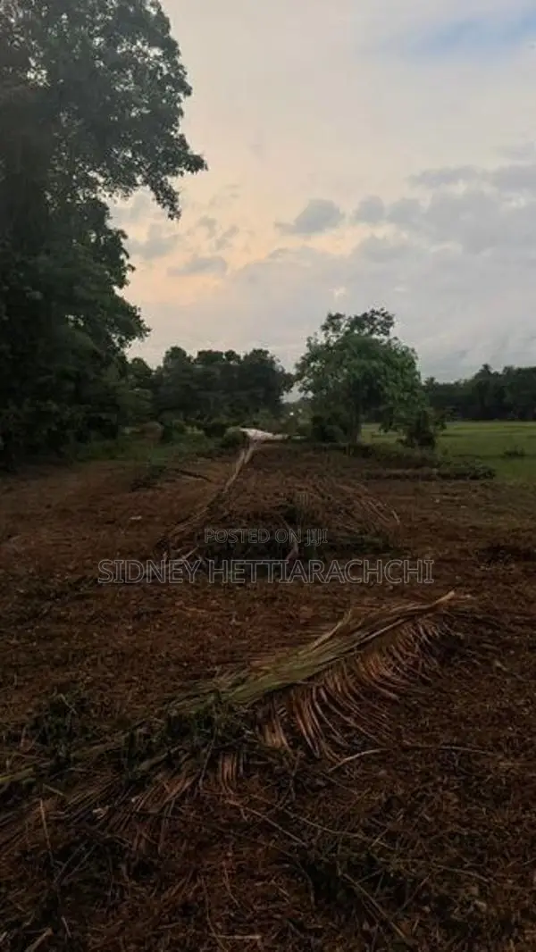 Valuable land for sale