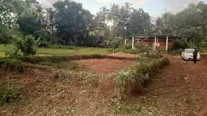 Valuable land for sale