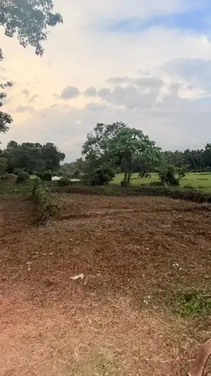 Valuable land for sale