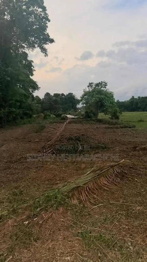 Valuable land for sale