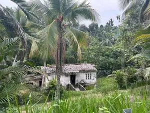 නිට්ටඹුව – රුවන්වැල්ල ප්‍රධාන පාරට සෘජුවම මායිම් ඉඩමක්