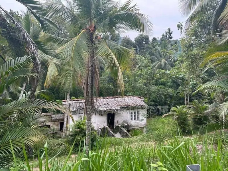 නිට්ටඹුව – රුවන්වැල්ල ප්‍රධාන පාරට සෘජුවම මායිම් ඉඩමක්