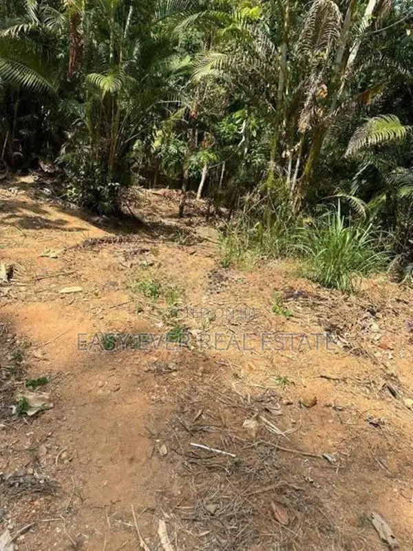 නිට්ටඹුව – රුවන්වැල්ල ප්‍රධාන පාරට සෘජුවම මායිම් ඉඩමක්