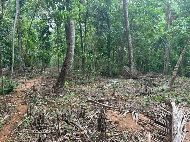 නිට්ටඹුව – රුවන්වැල්ල ප්‍රධාන පාරට සෘජුවම මායිම් ඉඩමක්