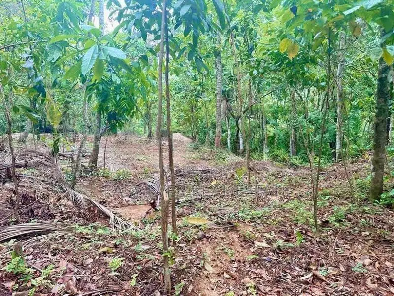 නිට්ටඹුව – රුවන්වැල්ල ප්‍රධාන පාරට සෘජුවම මායිම් ඉඩමක්