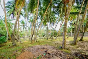 Beachfront Land for Sale in Beruwala
