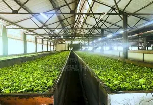Estate for Sale in Badulla