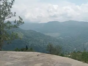 Land for Sale Nuwara Eliya Road