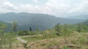 Land for Sale Nuwara Eliya Road
