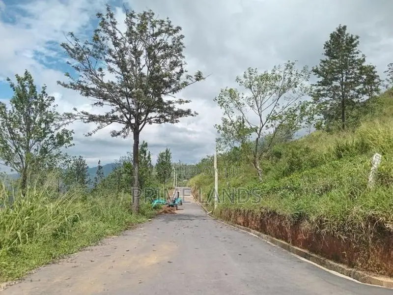 Land for Sale Nuwara Eliya Road