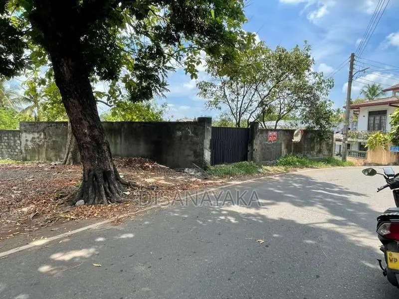 Super Land for Sale in Thalahena Ds171715