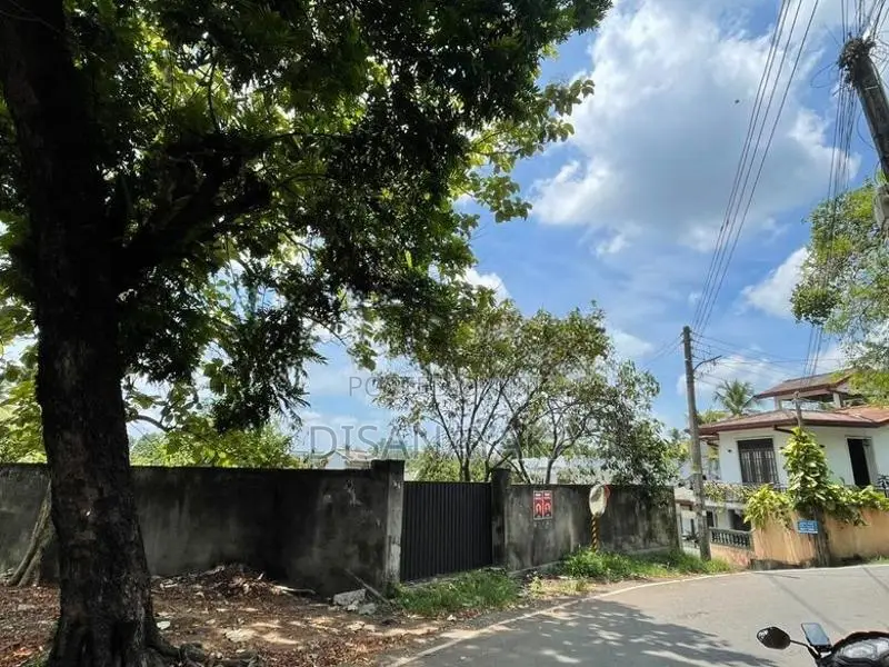 Super Land for Sale in Thalahena Ds171715