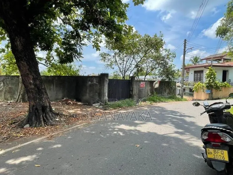 Super Land for Sale in Thalahena Ds171715