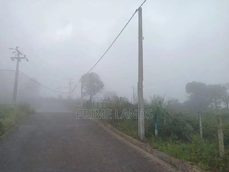 Land for sale Upper Glenloch ramboda