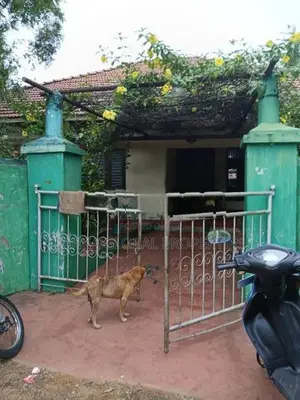 House For Sale In Chankarathai,Vaddukoddai.