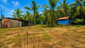 HHL1145 - Land for Sale in Mamangam