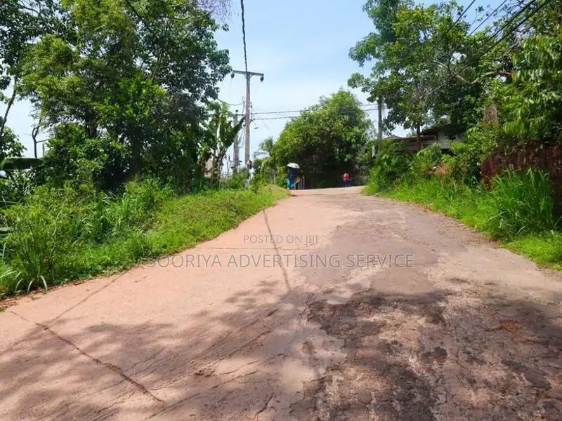 Land for Sale in Hirana