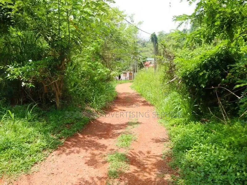 Land for Sale in Hirana
