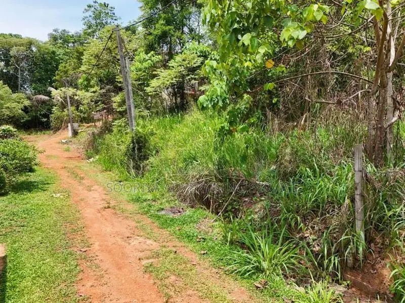 Land for Sale in Hirana