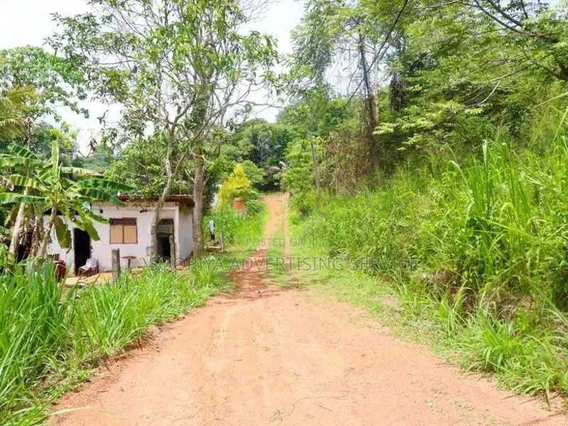 Land for Sale in Hirana
