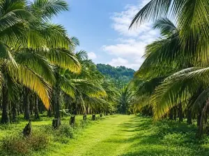 Agriculture farm for sale in Kurunegala