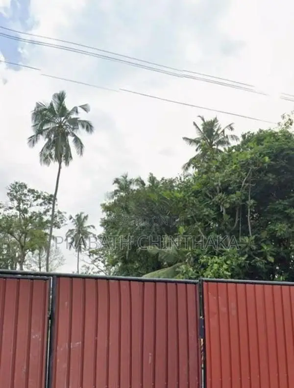 Land for Rent in Boralesgamuva ( Bellanwila )