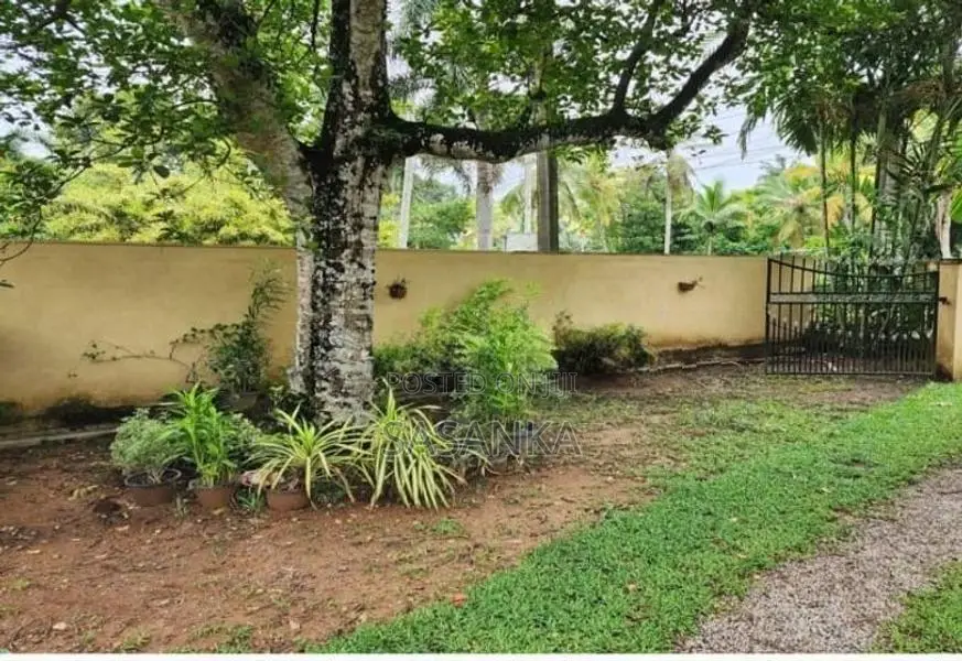 Piliyandala Polgasowita 49 Perches Land for Sale
