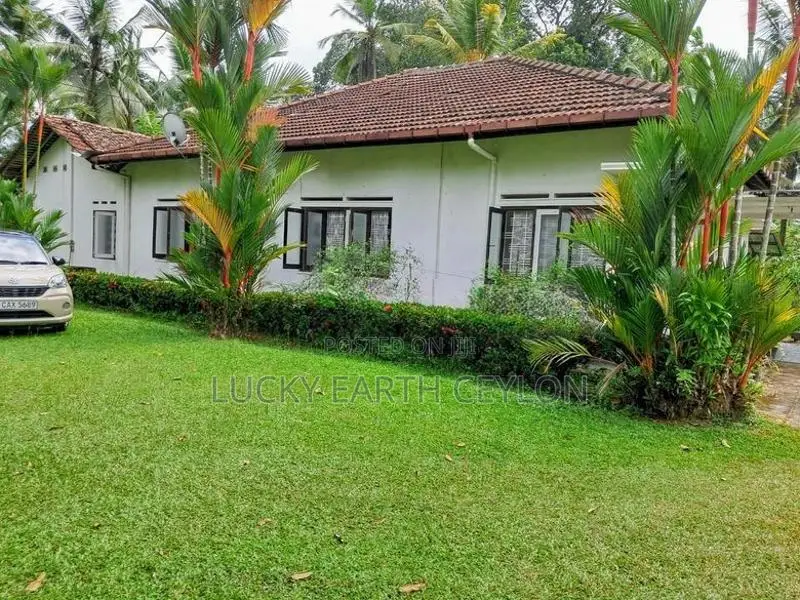 Sale,Karapitiya,Galle, Old Hous & 40 Perch Land For Sale (NZMS3067)