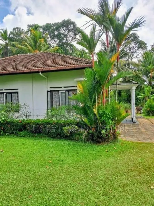 Sale,Karapitiya,Galle, Old Hous & 40 Perch Land For Sale (NZMS3067)