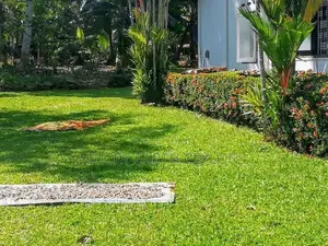 Sale,Karapitiya,Galle, Old Hous & 40 Perch Land For Sale (NZMS3067)