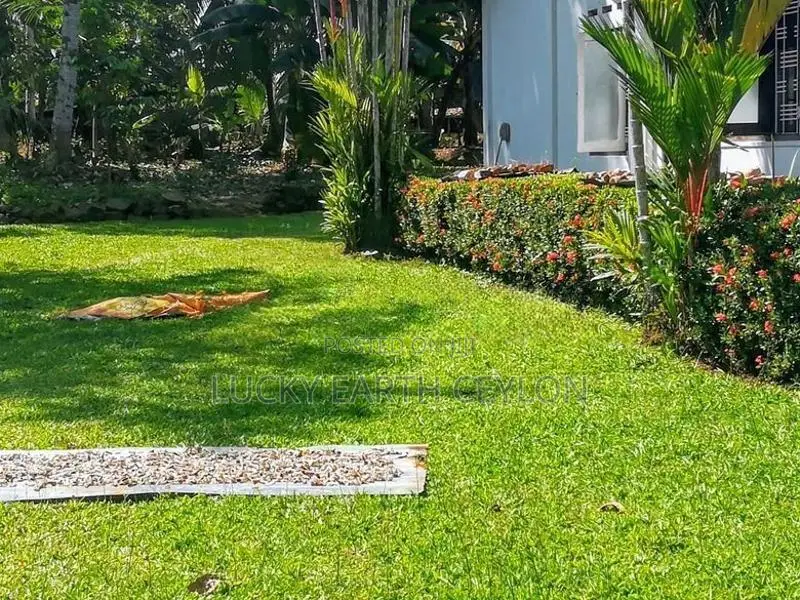 Sale,Karapitiya,Galle, Old Hous & 40 Perch Land For Sale (NZMS3067)