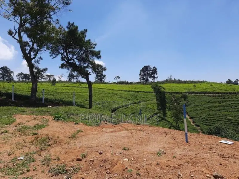 Land for sale Nuwara Eliya City