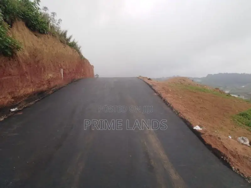 View point land Nuwaraeliya