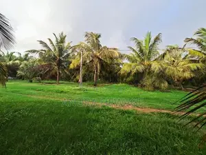 Coconut, Mango, Teak Cultivated Land for Sale Puttalam. (ID : PTLM001)