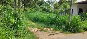 Land for sale in Thalpawila matara