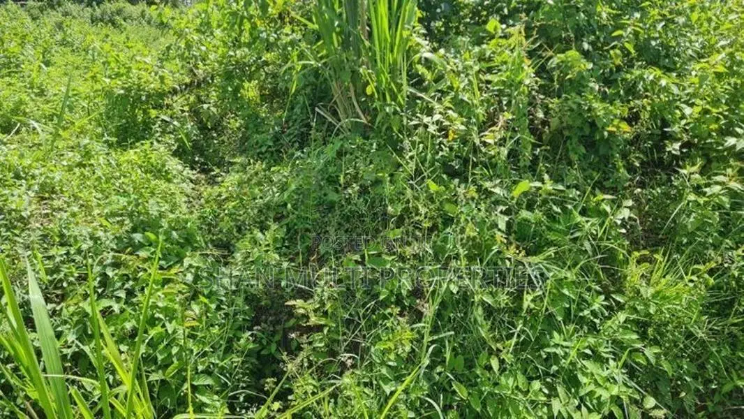 Land for Sale in Colombo-04