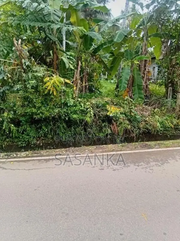 Kesbewa Bandaragama 63 Perches Land For Sale
