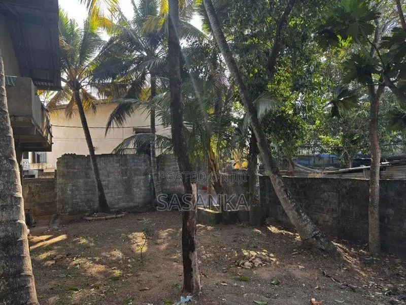Dehiwala Parakum Mawatha Facing 19.65P Land For sale