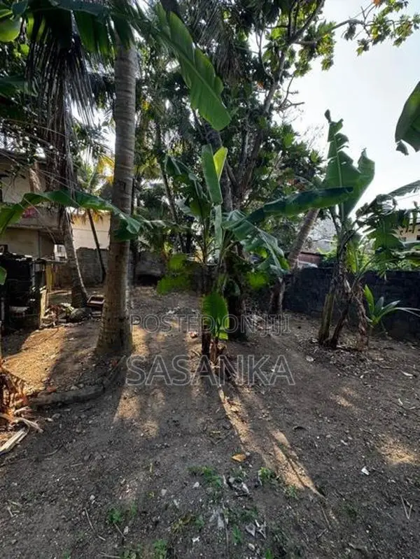 Dehiwala Parakum Mawatha Facing 19.65P Land For sale